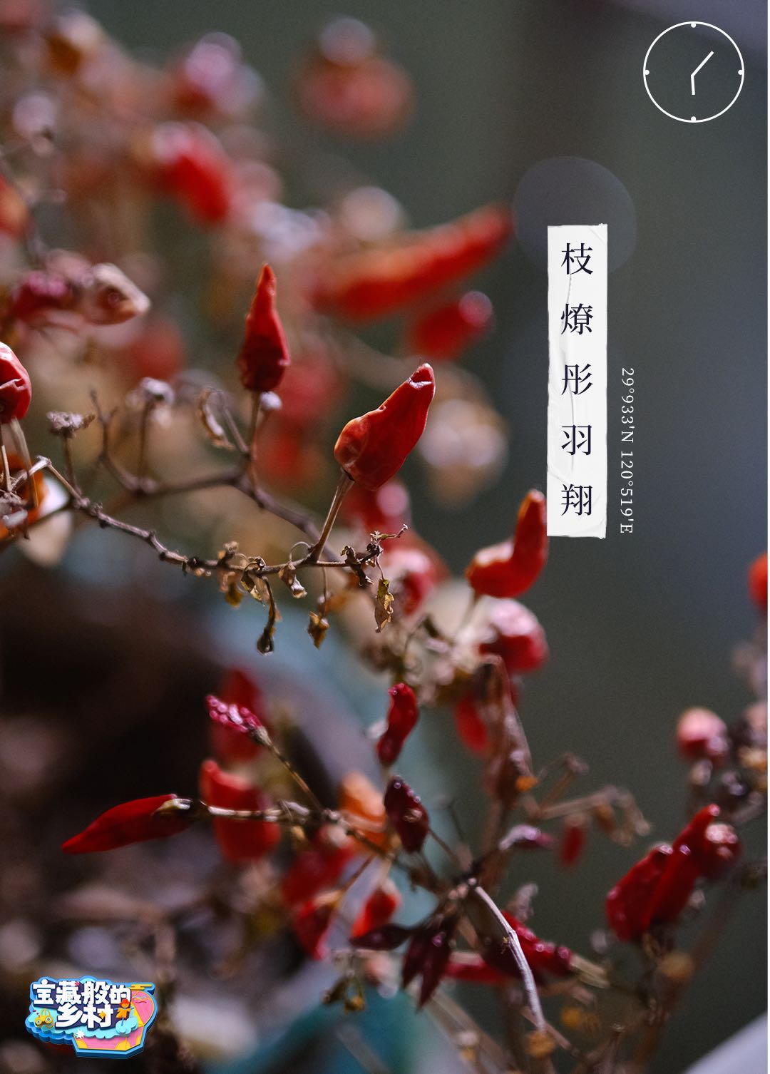 信息遁入虚无境，刷新使它不再虚无